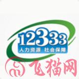掌上12333养老认证