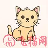 动物识别扫一扫