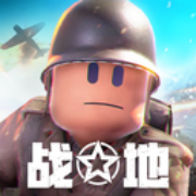战场前线:西线