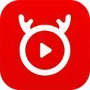 好鹿视频高清版