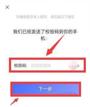 阿里云盘app加密文件方法图片3