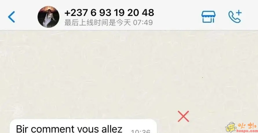 WhatsApp vivo版