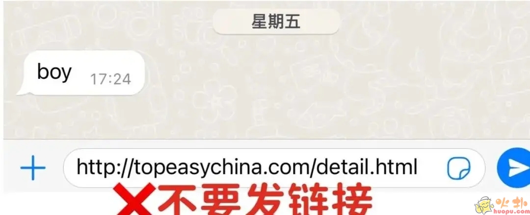 WhatsApp vivo版