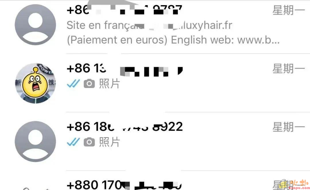WhatsApp vivo版