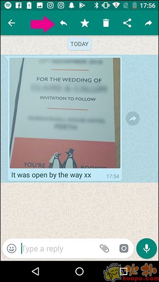 WhatsApp vivo版